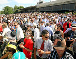 Albury Gold Cup - March 2014