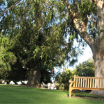 Parks and Gardens 